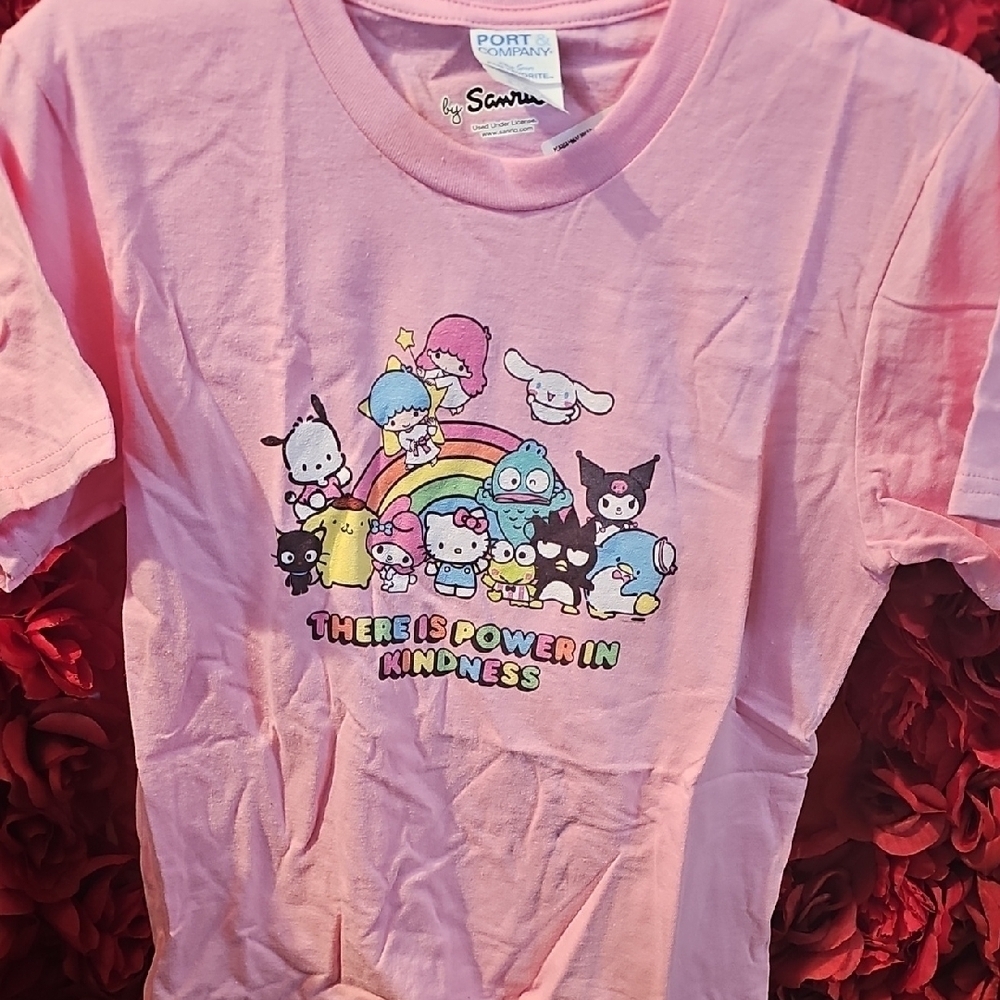 Sanrio NWT Kids Pink Graphic T-Shirt Size Small